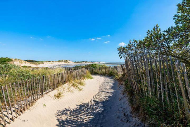 Hamac - Vue - 100m Berck